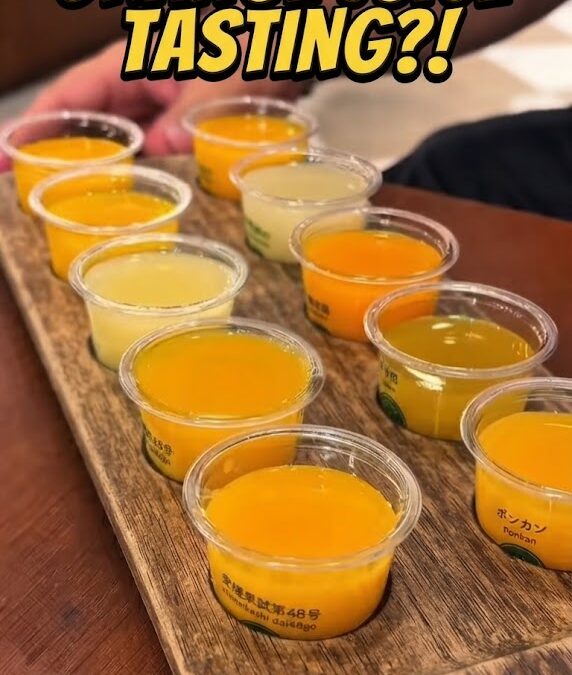 The Creative Orange Juice Experience
