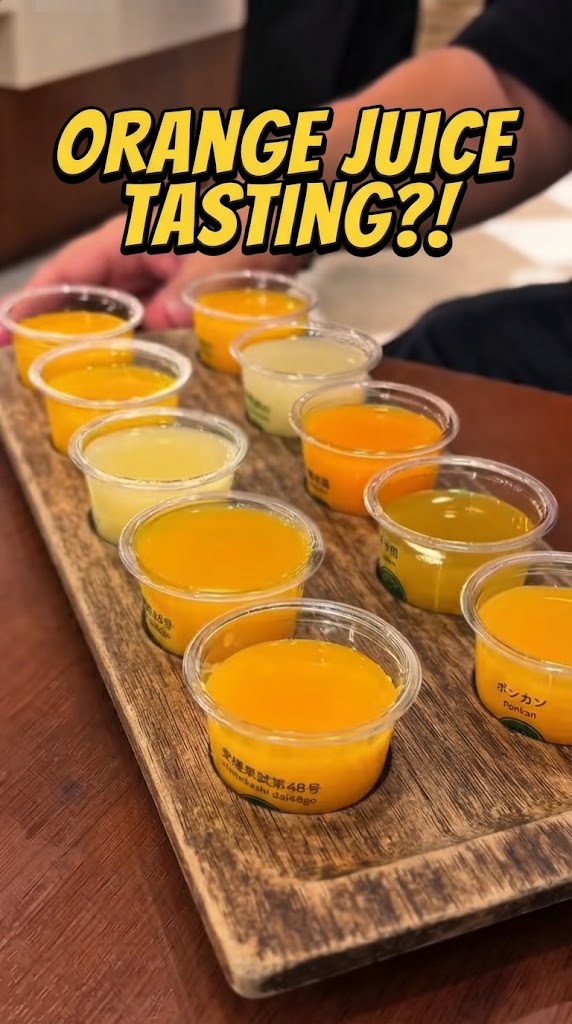 The Creative Orange Juice Experience